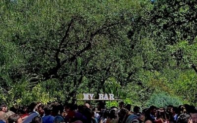 Boda en Cortijo San Francisco